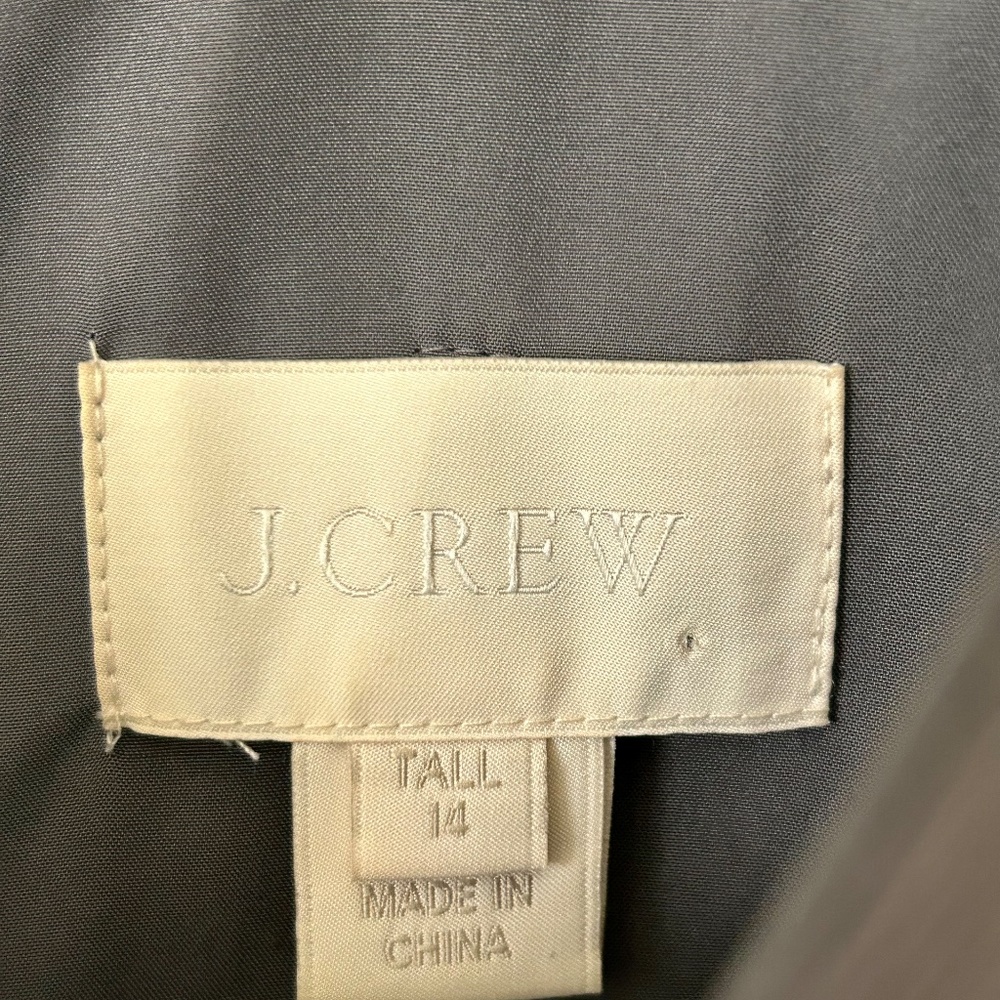 JCrew Silk Chiffon 'Anabel' Dress - Picture 3 of 5